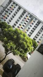 Blk 330 Kampung Ubi Estate (Geylang), HDB 5 Rooms #579634381